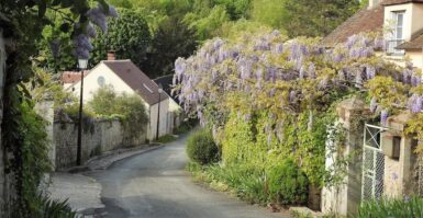 ruelle sur fond de forêt et maisons traditionnelles avec grosse glycine en fleurs mauves sur un mur.