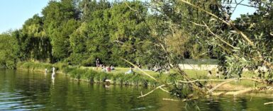 Bord de rivière bordé de roseaux. Au soleil, sur une pelouse entourée d'arbres, des groupes de personnes sont assises. Deux enfants ont les pieds dans l'eau.